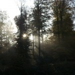 weekendje La Roche